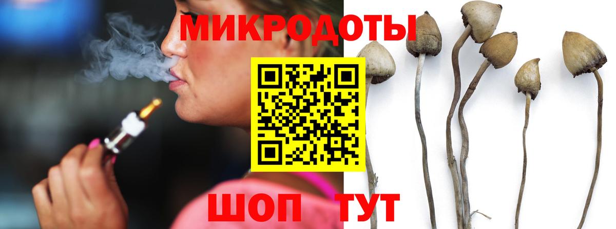 Выборг  Псилоцибиновые грибы ЛСД  Вход с VPN  закладка  Галлюциногенные грибы MAGIC MUSHROOMS 